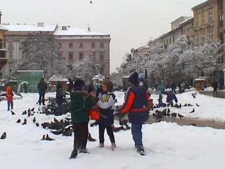 spis.php?category_id=102